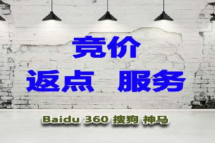 搜索引擎营销（SEM）竞价策略案例